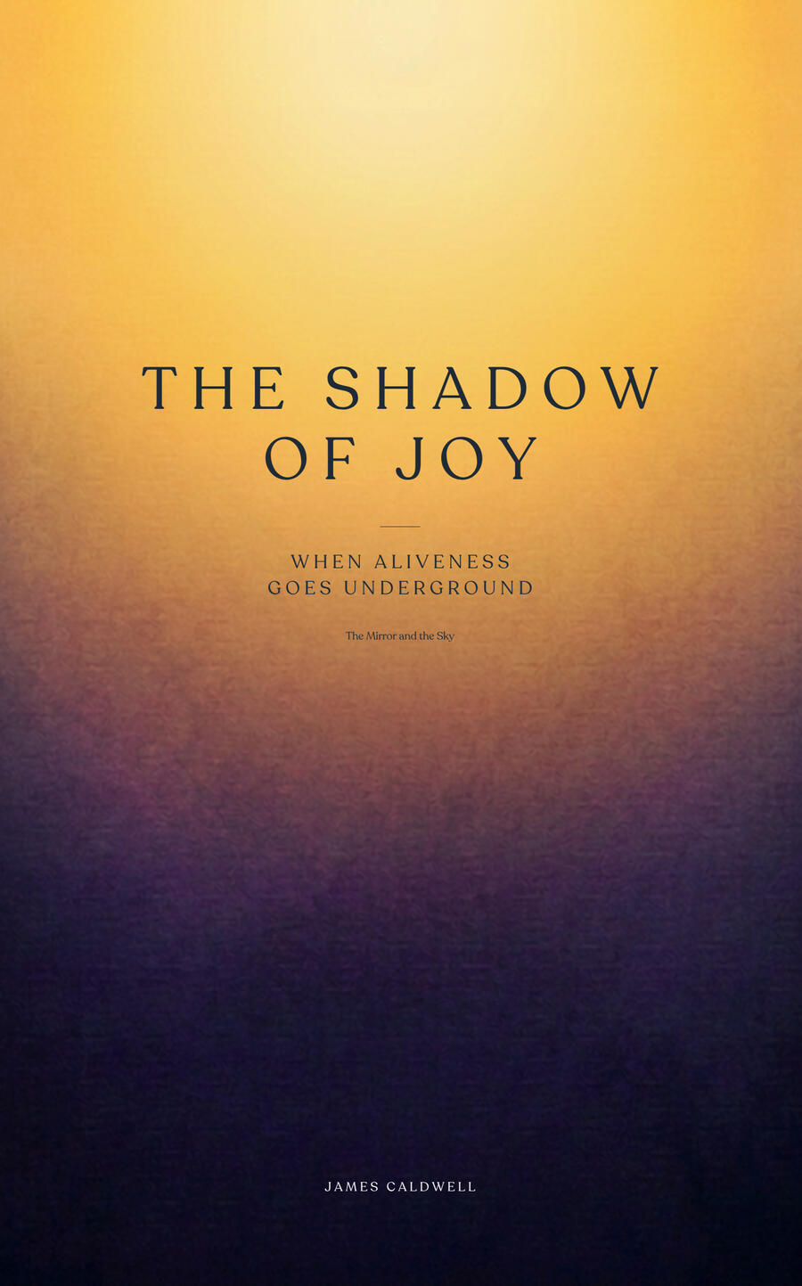 The Shadow of Joy The Shadow of Joy cover pic